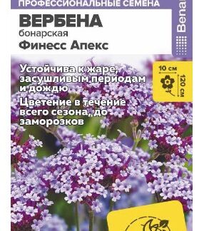 Цветы Вербена Финесс Апекс бонарская