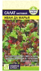 Зелень Салат Иван да Марья смесь