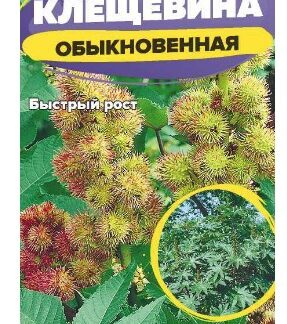 Клещевина Обыкновенная