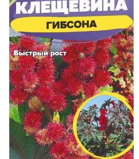 Клещевина Гибсона