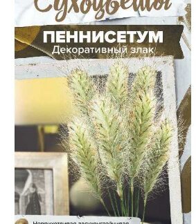 Пеннисетум мохнатый злак декоративный