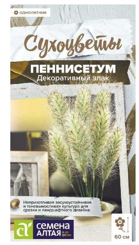Пеннисетум мохнатый злак декоративный