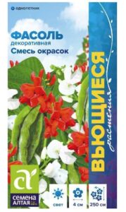 Фасоль декоративная Смесь окрасок вьющаяся