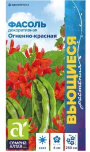 Фасоль вьющаяся Огненно-красная