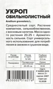 Зелень Укроп Обильнолистный