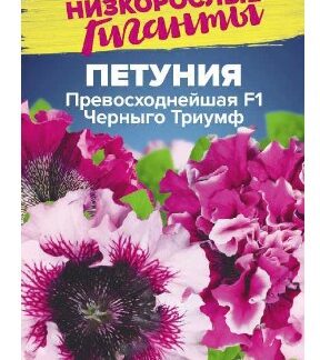 Петуния Превосходнейшая F1 Черныго Триумф