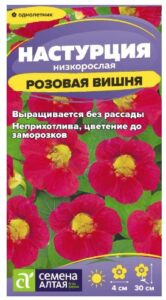 Настурция Розовая вишня