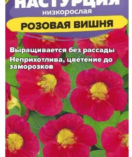 Настурция Розовая вишня