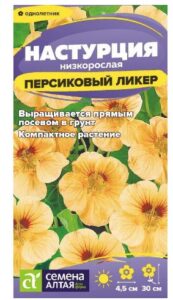 Настурция Персиковый Ликер