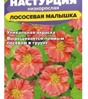 Настурция Лососевая малышка