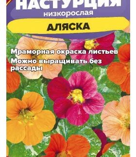 Настурция Аляска низкорослая