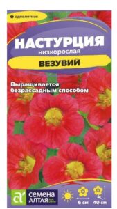 Настурция Везувий низкорослая