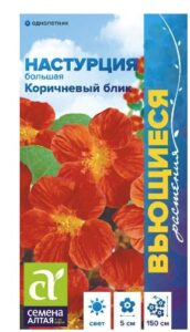 Настурция Коричневый Блик большая