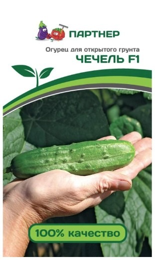 Партнер Огурец ЧЕЧЕЛЬ F1