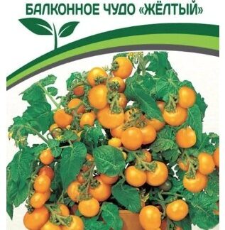 Томат БАЛКОННОЕ ЧУДО (желтый)