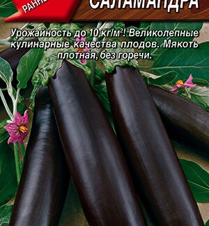 Баклажан Саламандра