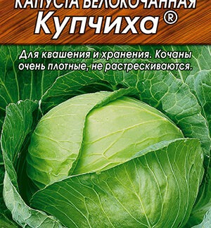 Капуста белокачанная Купчиха