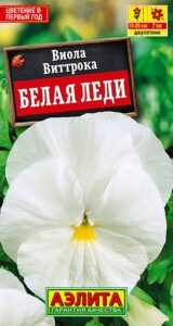 Виола Белая леди