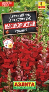 Львиный зев Высокорослый красный
