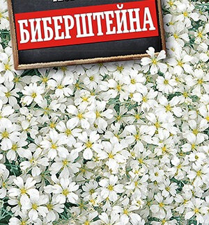 Ясколка Биберштейна