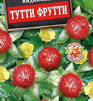 Дюшенея индийская Тутти Фрутти