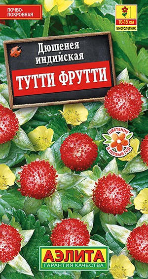 Дюшенея индийская Тутти Фрутти