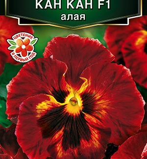 Виола Кан Кан F1 алая