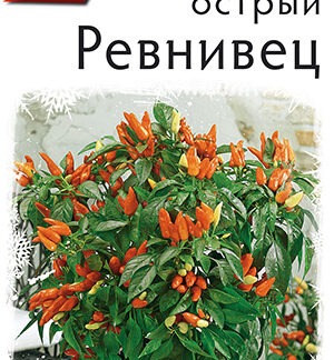Перец острый Ревнивец