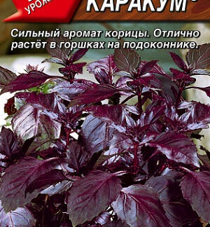 Базилик овощной Каракум