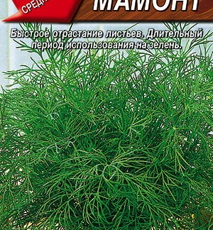 Укроп Мамонт