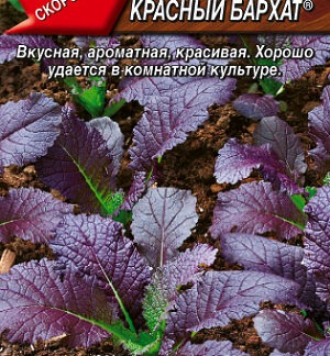 Горчица салатная Красный бархат