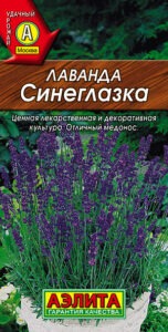 Лаванда Синеглазка