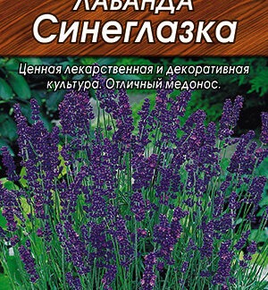 Лаванда Синеглазка