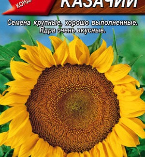 Подсолнечник Казачий