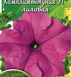 Петуния Комплиментуния F1 лиловая крупноцветковая