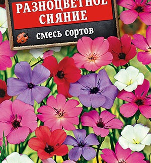 Вискария Разноцветное сияние, смесь окрасок
