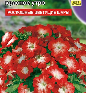 Петуния Мамбо F1 красное утро многоцветковая