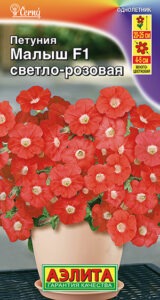 Петуния мини Малыш F1 светло-розовая многоцветковая