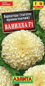 Бархатцы Ванилла F1 прямостоячие