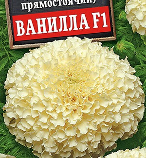 Бархатцы Ванилла F1 прямостоячие