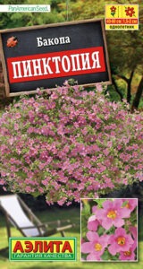 Бакопа Пинктопия