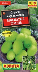 Огурец Мохнатый шмель