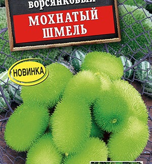 Огурец Мохнатый шмель