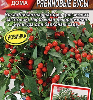 Перец кустарниковый Рябиновые бусы