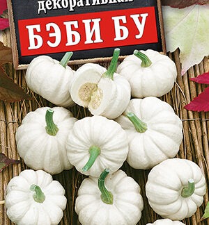 Тыква декоративная Бэби бу