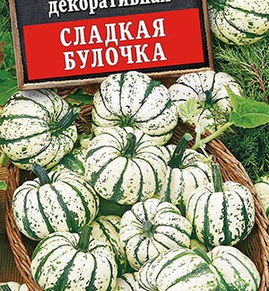 Тыква декоративная Сладкая булочка