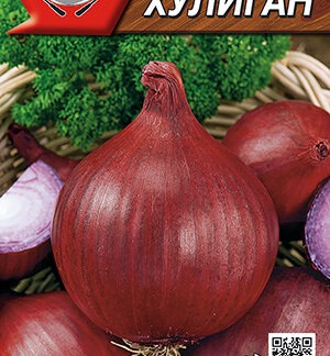 Лук репчатый Хулиган