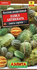 Кукумис декоративный Лавка антиквара, смесь сортов