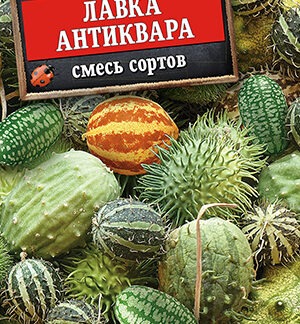 Кукумис декоративный Лавка антиквара, смесь сортов
