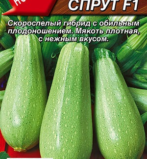Кабачок цуккини Спрут F1